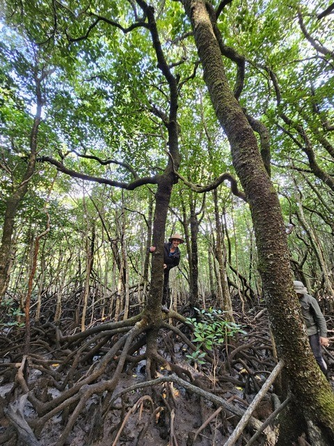 Earthwatch Australia